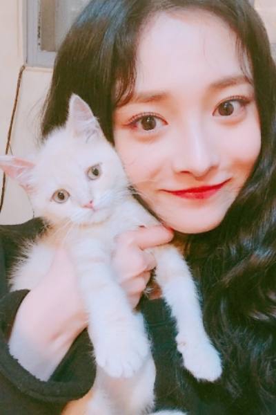 组图:周洁琼嘴对嘴献吻爱猫 还有她们也超级爱