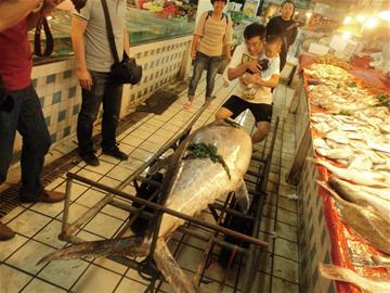 青岛鲅鱼王长2.12米重245斤 神秘夫妇买走