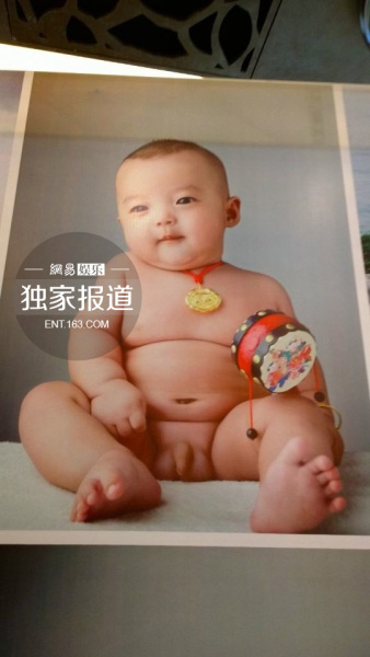 郝蕾双胞胎儿子图片