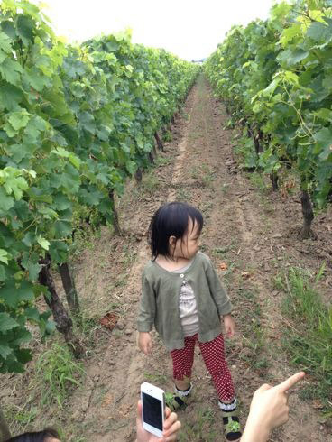 赵薇为女儿庆生晒大眼母女照 小四月变小燕子