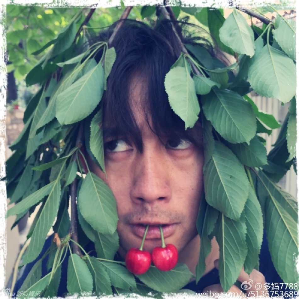 明星也爱樱桃采摘 黄磊带爱女多多吃樱桃(图)