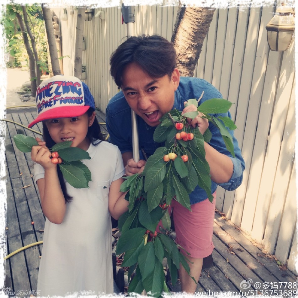 明星也爱樱桃采摘 黄磊带爱女多多吃樱桃(图)