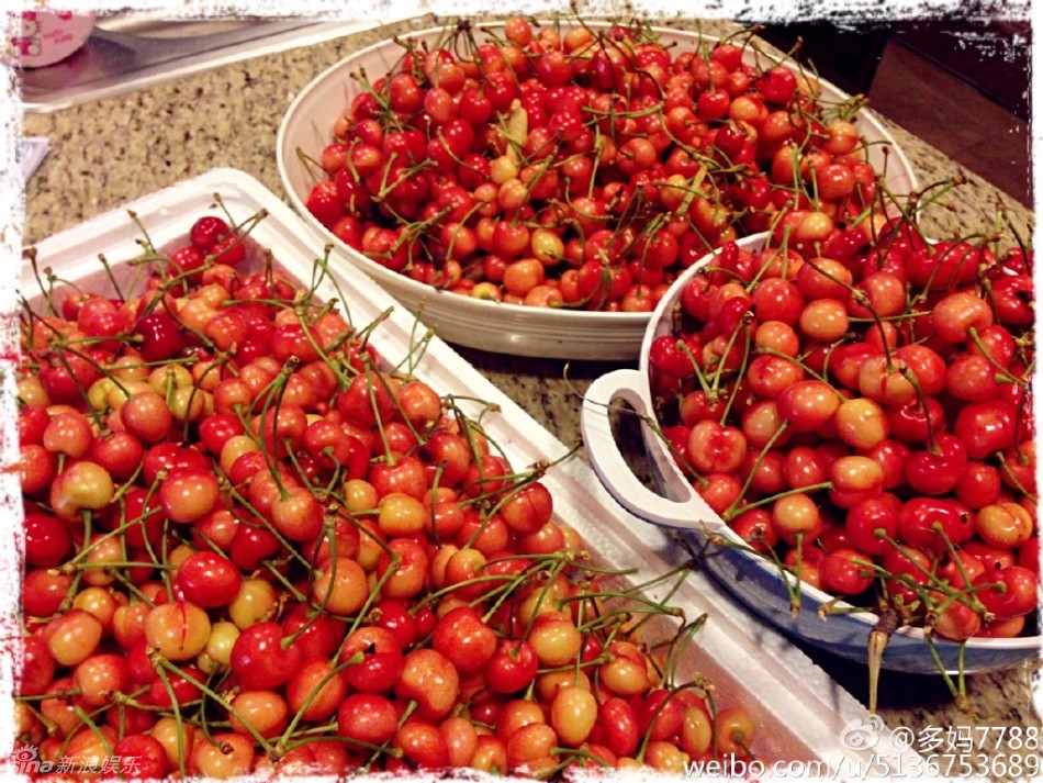 明星也爱樱桃采摘 黄磊带爱女多多吃樱桃(图)