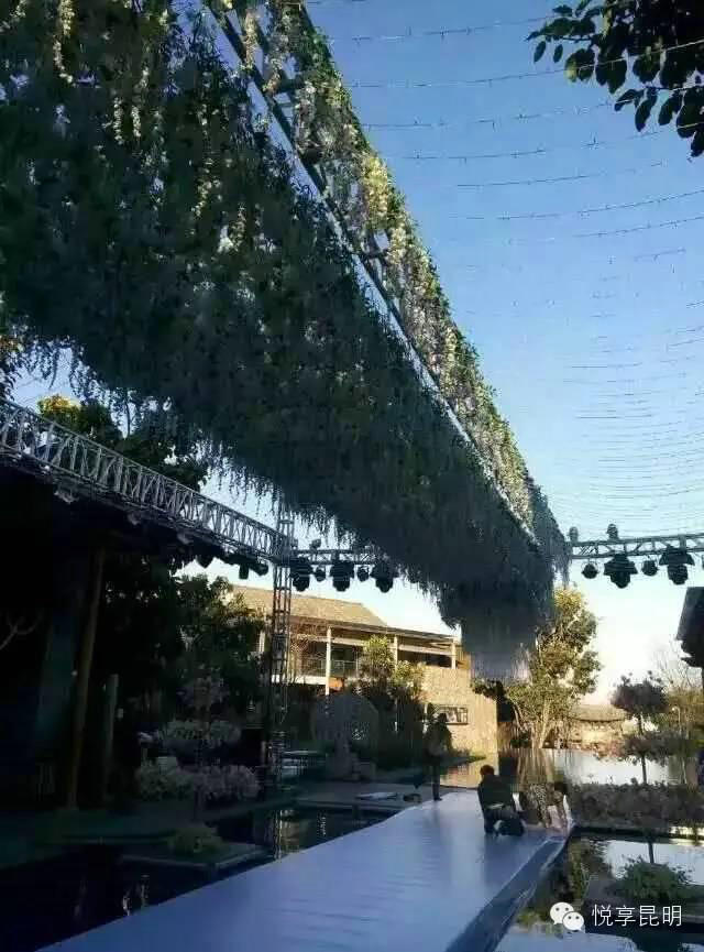 网曝王菲谢霆锋大理结婚现场 霍汶希辟谣(图)