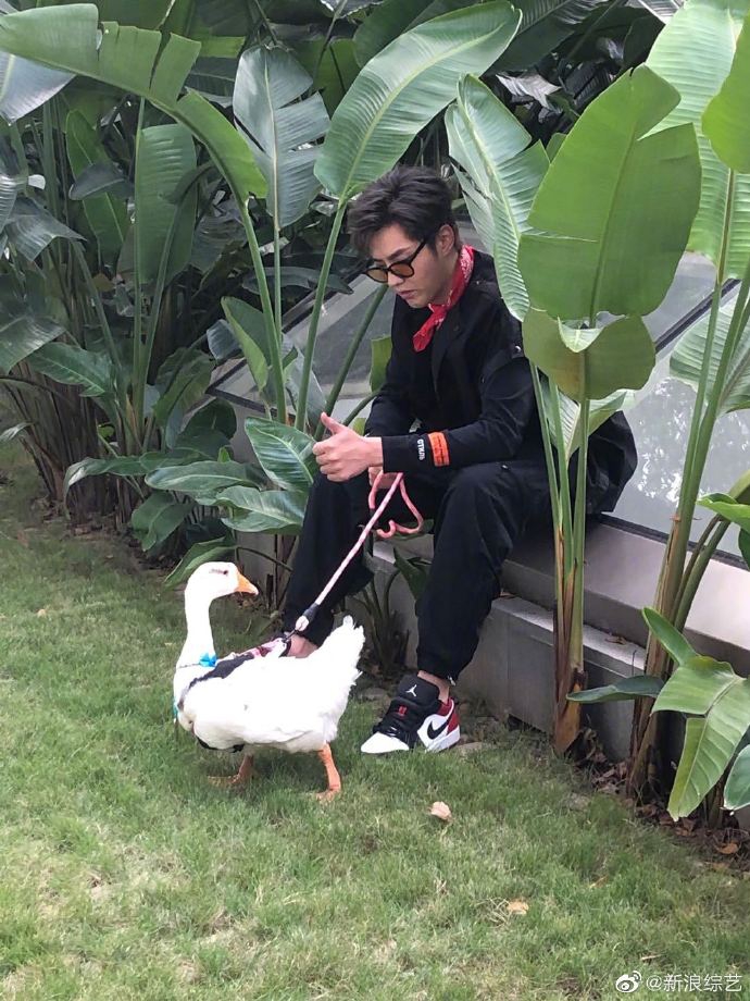 吴亦凡街上遛鹅超耐心 粉丝直呼羡慕大鹅