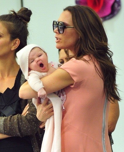 睡不醒的七公主 太萌太卡哇伊了