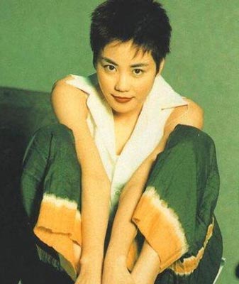 王菲尚无天后范