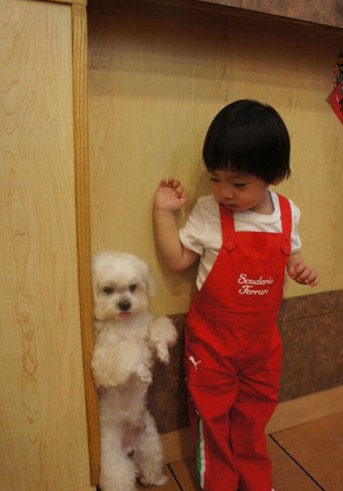 林志颖儿子呆萌 盘点娱圈宝贝