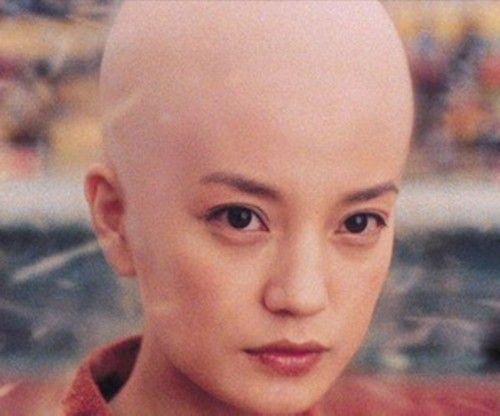 林志玲光头照曝光 图揭众一线女星光头照 林志玲光头照曝光 图揭众一线女星光头照