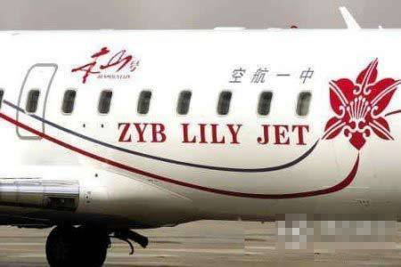 豪宅飞机 赵本山爱女奢侈生活