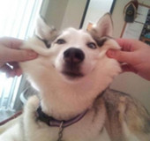 总有些瞬间让你笑到泪奔