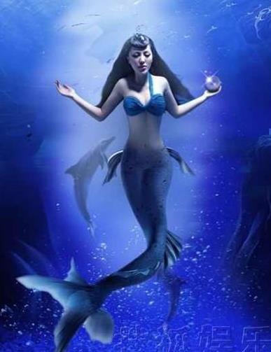 美人鱼 美人鱼