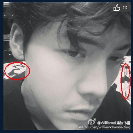 陈伟霆自拍（红圈处为花沙发）