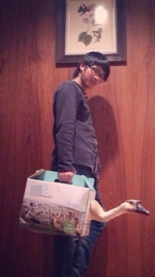 韩寒“拧鹅”引围观