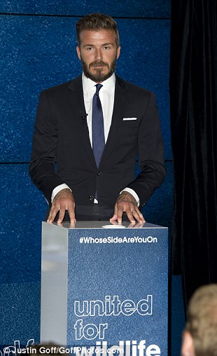 威廉王子同小贝共同出席保护野生生物活动