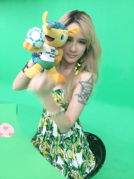 艾菲与世界杯吉祥物