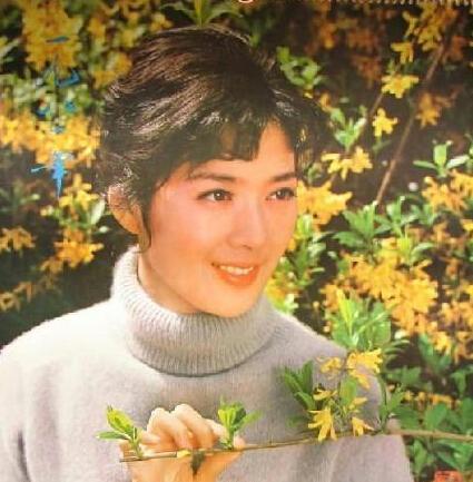 揭80年代纯美女星情史:胡慧中嫁黑道帮主 米雪遭成龙抛弃