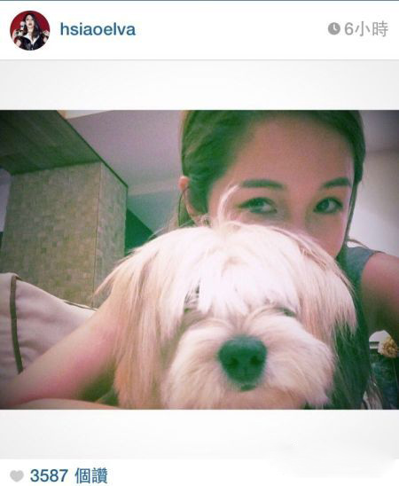 萧亚轩晒柯震东收养狗狗