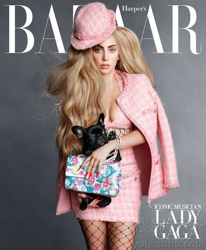     Gaga携爱犬登《Harper&apos;s BAZAAR》 玩转粉红系