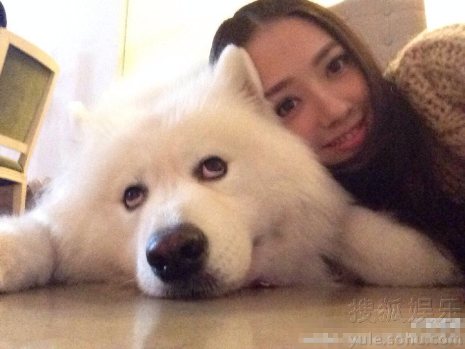  郭碧婷抱狗狗示爱 却遭狗狗“翻白眼”嫌弃 