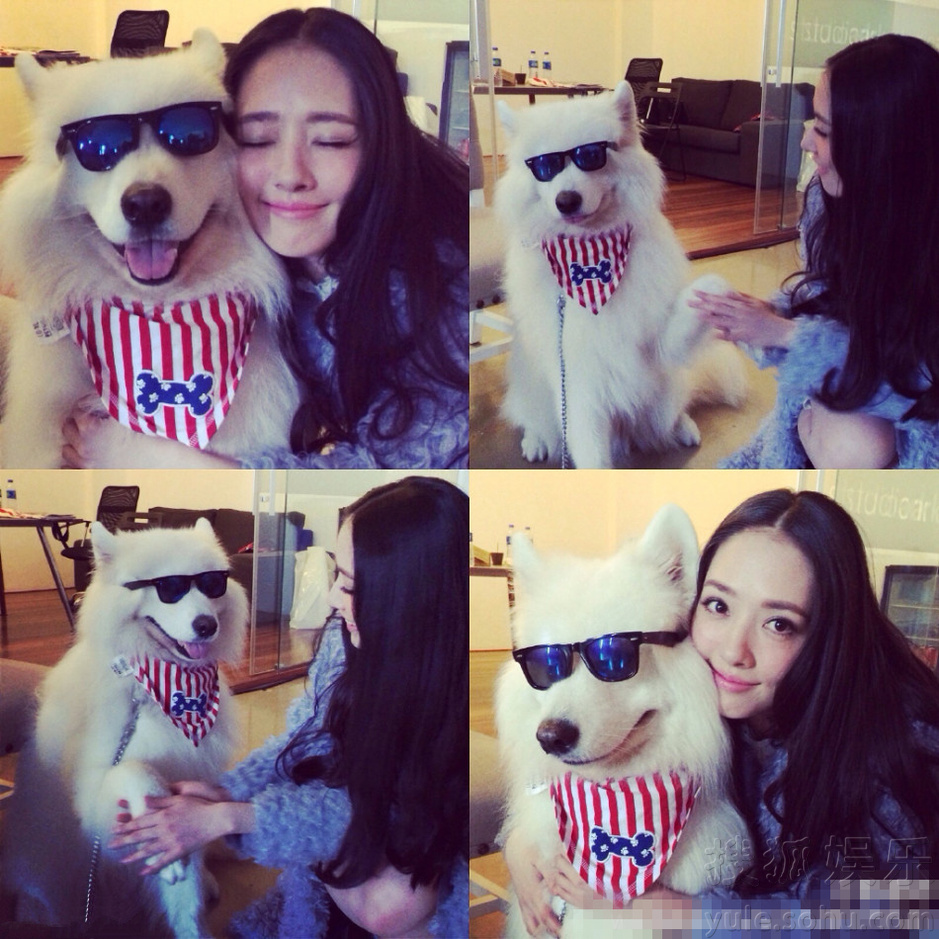  郭碧婷抱狗狗示爱 却遭狗狗“翻白眼”嫌弃 