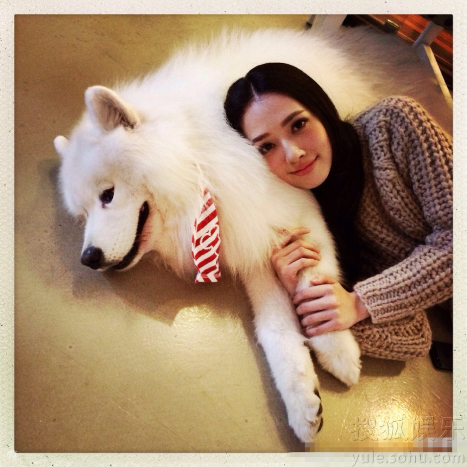  郭碧婷抱狗狗示爱 却遭狗狗“翻白眼”嫌弃 