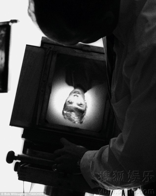   美国摄影师出版赫本照片集 大量幕后生活照曝光 