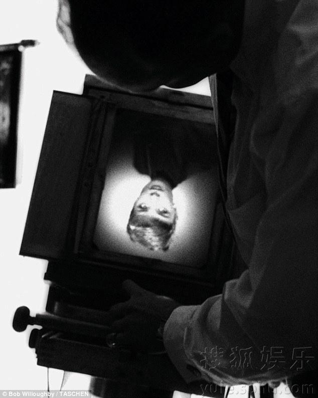   美国摄影师出版赫本照片集 大量幕后生活照曝光 