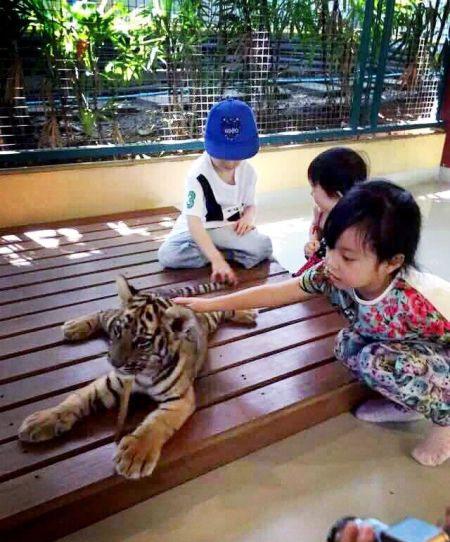 赵薇女儿 赵薇女儿