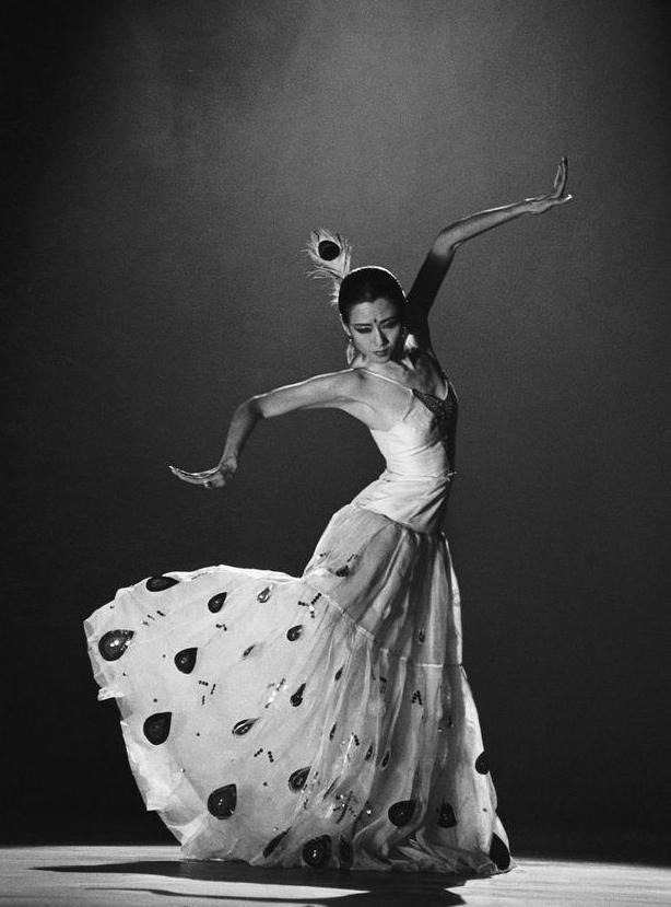 舞神杨丽萍青涩旧照 舞神杨丽萍青涩旧照