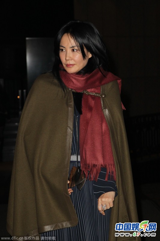 王菲独自出席刘嘉玲生日宴提前离席