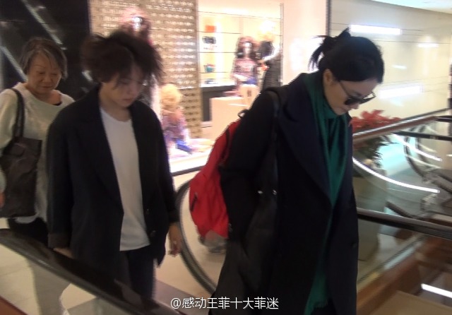 王菲独自出席刘嘉玲生日宴提前离席