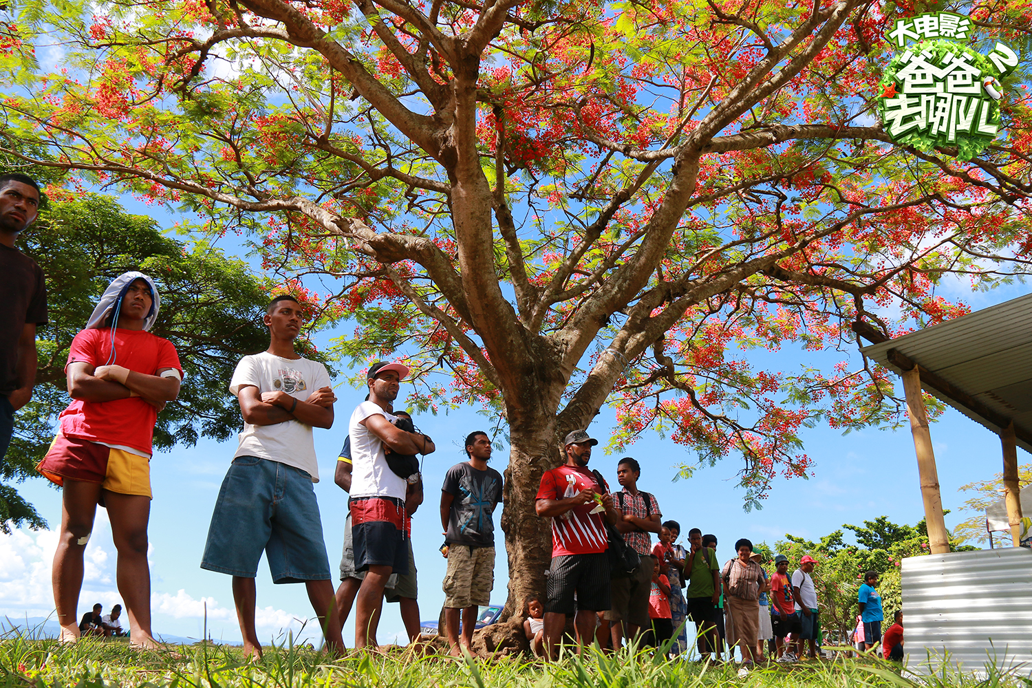 《爸爸去哪儿2大电影》曝海洋圣诞海报