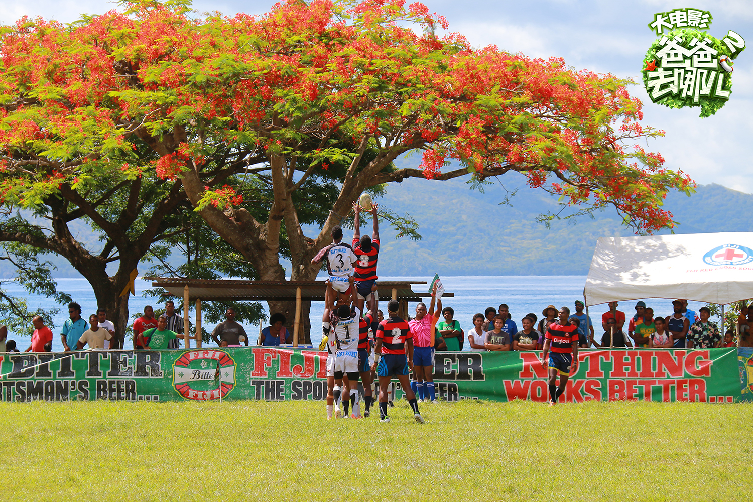 《爸爸去哪儿2大电影》曝海洋圣诞海报