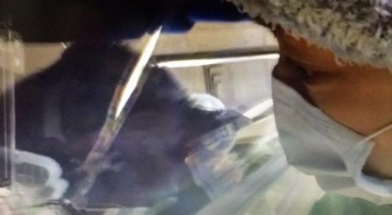 范玮琪产后首见儿子