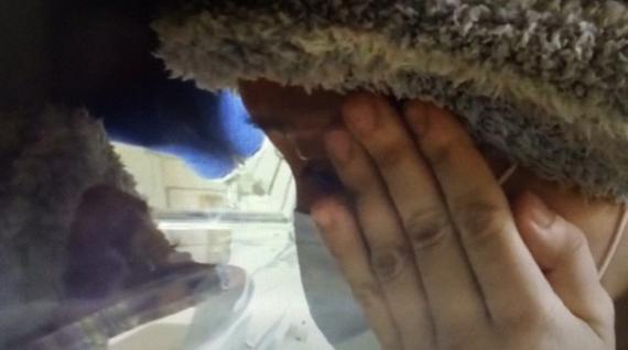 范玮琪产后首见儿子