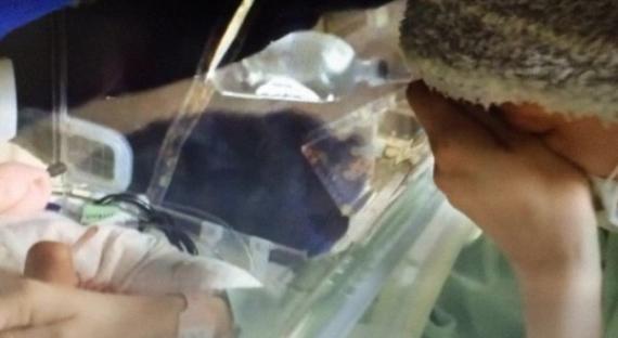 范玮琪产后首见儿子