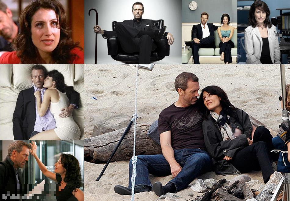 《豪斯医生》休-劳瑞和丽莎-艾德尔斯汀