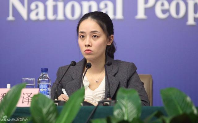 历届两会美女翻译