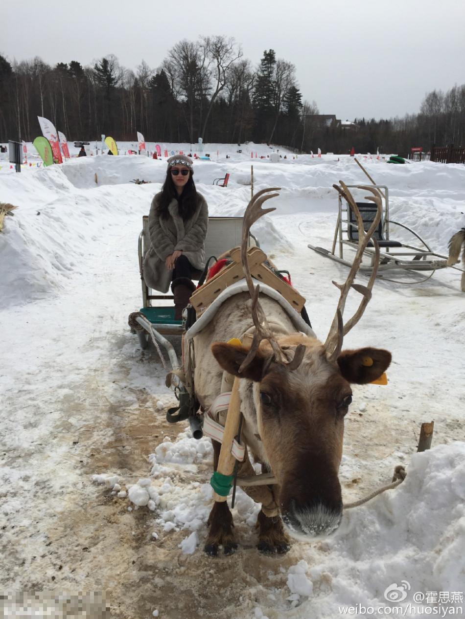 霍思燕坐鹿车