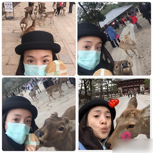 林依晨携父母逛日本