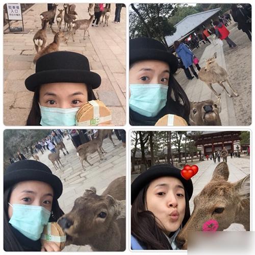 林依晨携父母逛日本