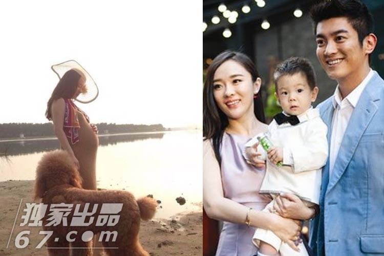 揭娱圈四帮派：S帮组团生子豪门梦坎坷 杨幂疏离假脸姐妹团