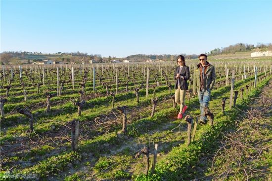 赵薇夫妇身家暴涨35.6亿 可买106个法国酒庄