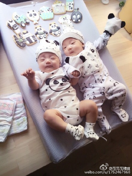 范玮琪隔三小时喂奶：看到路人都想去喂