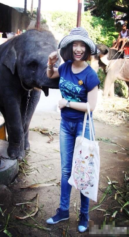 姚贝娜患癌聂鑫车祸 盘点美人之殇斯人已去女星