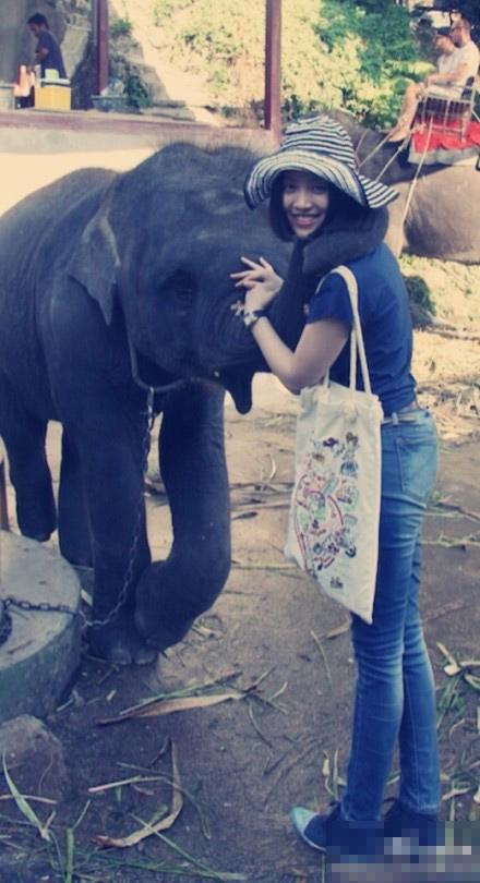 姚贝娜患癌聂鑫车祸 盘点美人之殇斯人已去女星