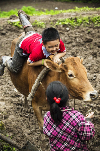 赵文卓儿女与王艳儿子亲密玩耍老爸吃醋