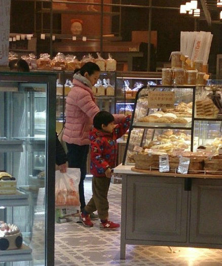 揭离婚女星生活现状 张柏芝携两子回港定居