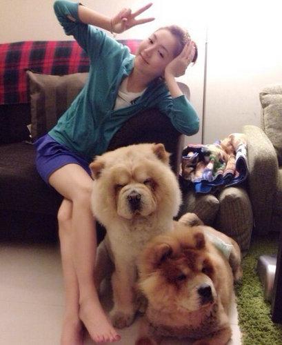 扒娱圈小三现状：杨子晴出柜 张子萱开网店